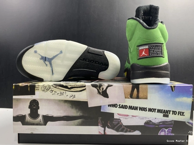 Jordan 5 Ducks SE CK6631-307 Oregon Air 0811